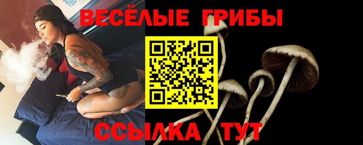 Псилоцибиновые грибы MAGIC MUSHROOMS Лесной
