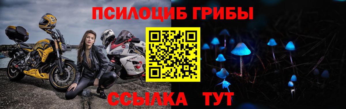 Лесной  Галлюциногенные грибы Magic Shrooms  Вход с VPN 